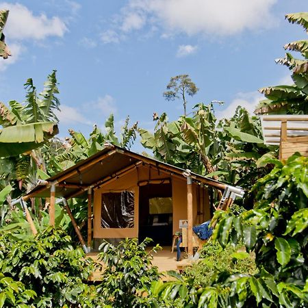 Glamping Jardin Hotel Buitenkant foto